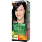 Garnier Color Naturals Hair Color Extra Light Blonde No.110