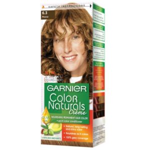 Garnier Color Naturals Hair Color Mocca No. 6.3