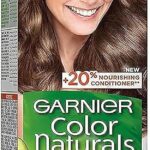 Garnier Color Naturals Hair Color Dark Blonde No. 6