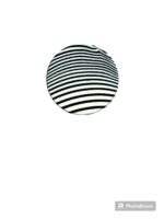 255631-1 Fair Lady Big Round Flat Sponge - Black &amp; White